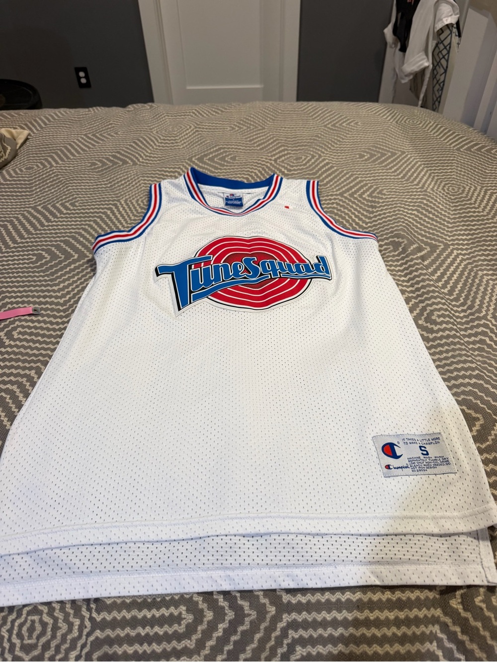 Vintage 1990s/original Space Jam-era Champion jersey